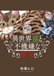 Isekai Neko to Fukigenna Majo